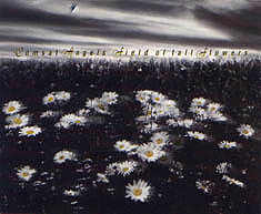 Field Of Tall Flowers CD